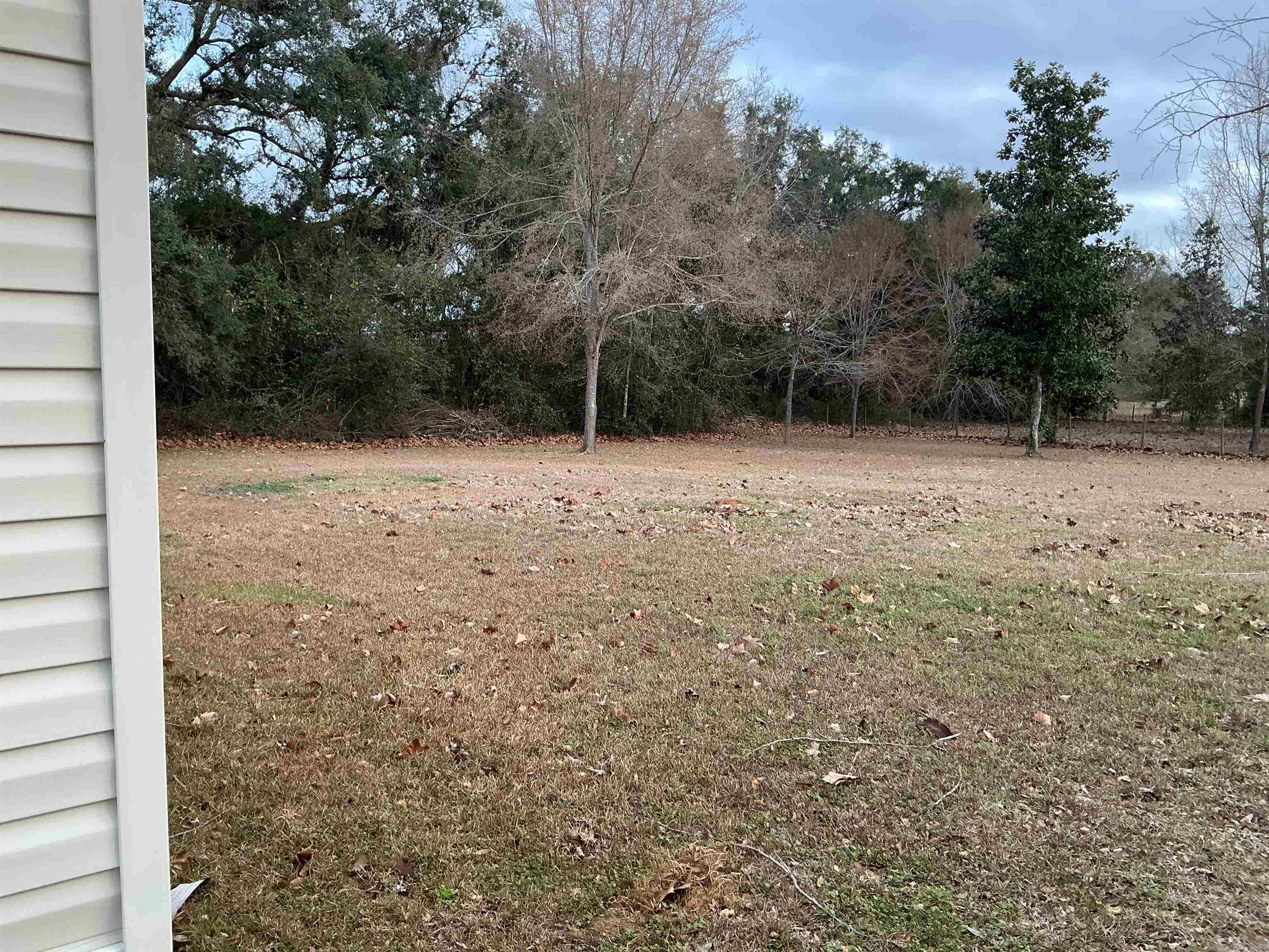 1597 Southwest Moseley Hall Road Madison, FL 32340 - Photo 41 of 49