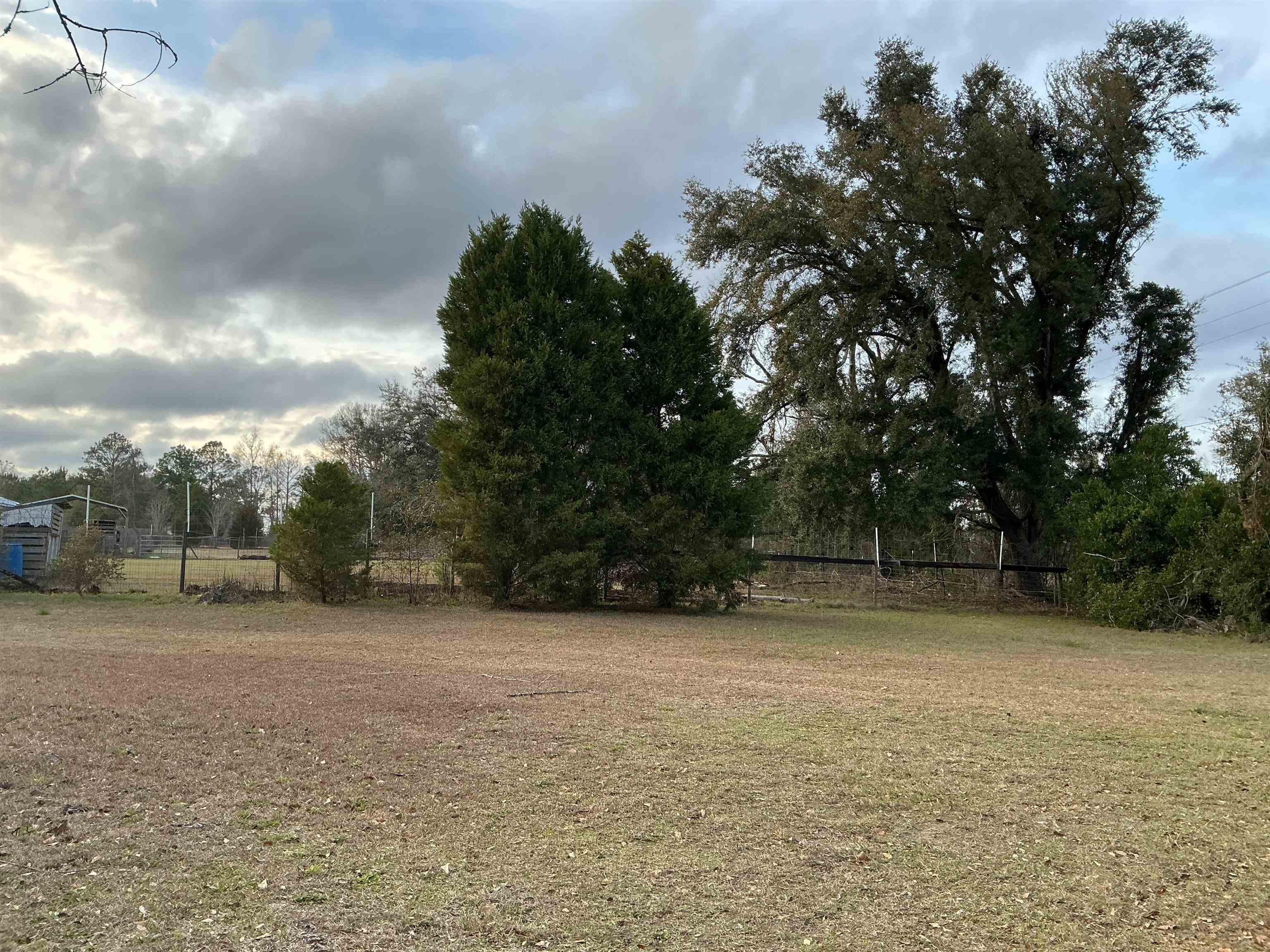 1597 Southwest Moseley Hall Road Madison, FL 32340 - Photo 45 of 49