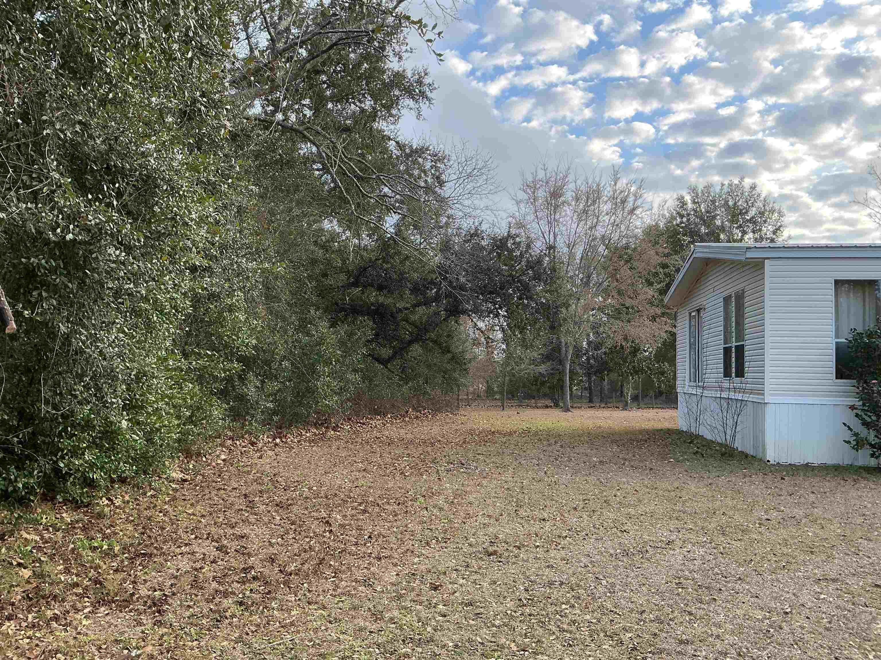 1597 Southwest Moseley Hall Road Madison, FL 32340 - Photo 46 of 49