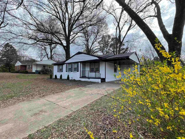 a view of a house with a large tree and a yard