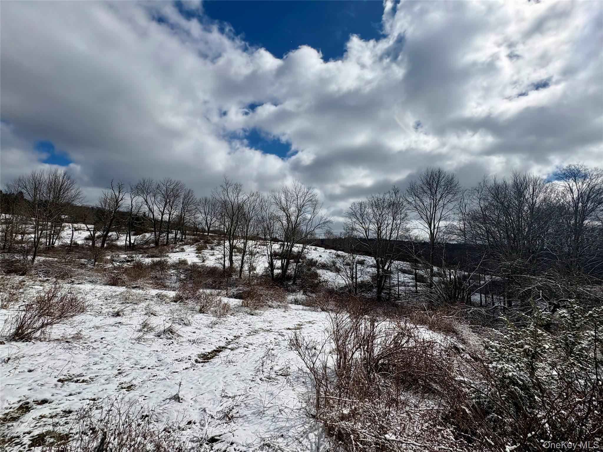 28 T R Fremont Center, NY 12736 - Photo 12 of 47