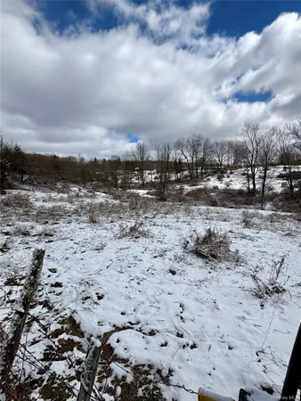 a view of a dry space with lots of trees