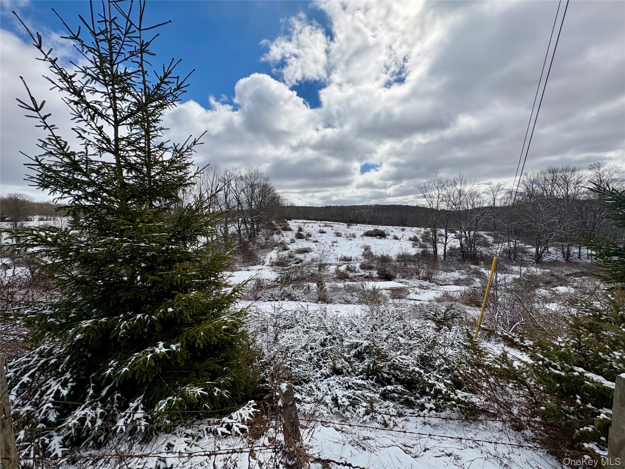 28 T R Fremont Center, NY 12736 - Photo 16 of 47