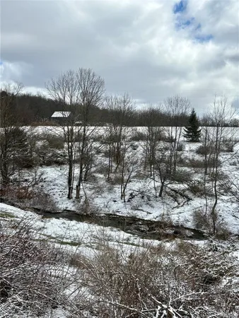 a view of a yard with a tree