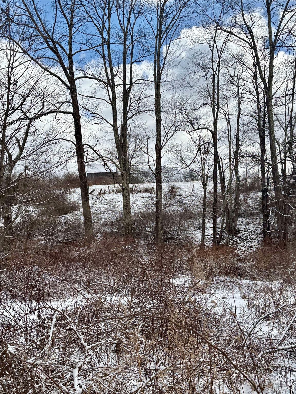 28 T R Fremont Center, NY 12736 - Photo 19 of 47