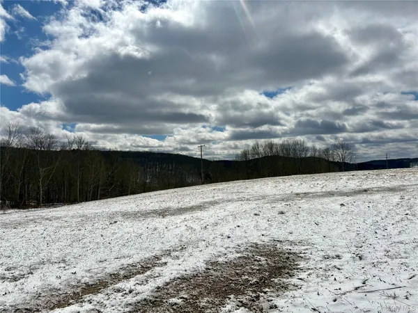 a view of a road with a snow on the ground