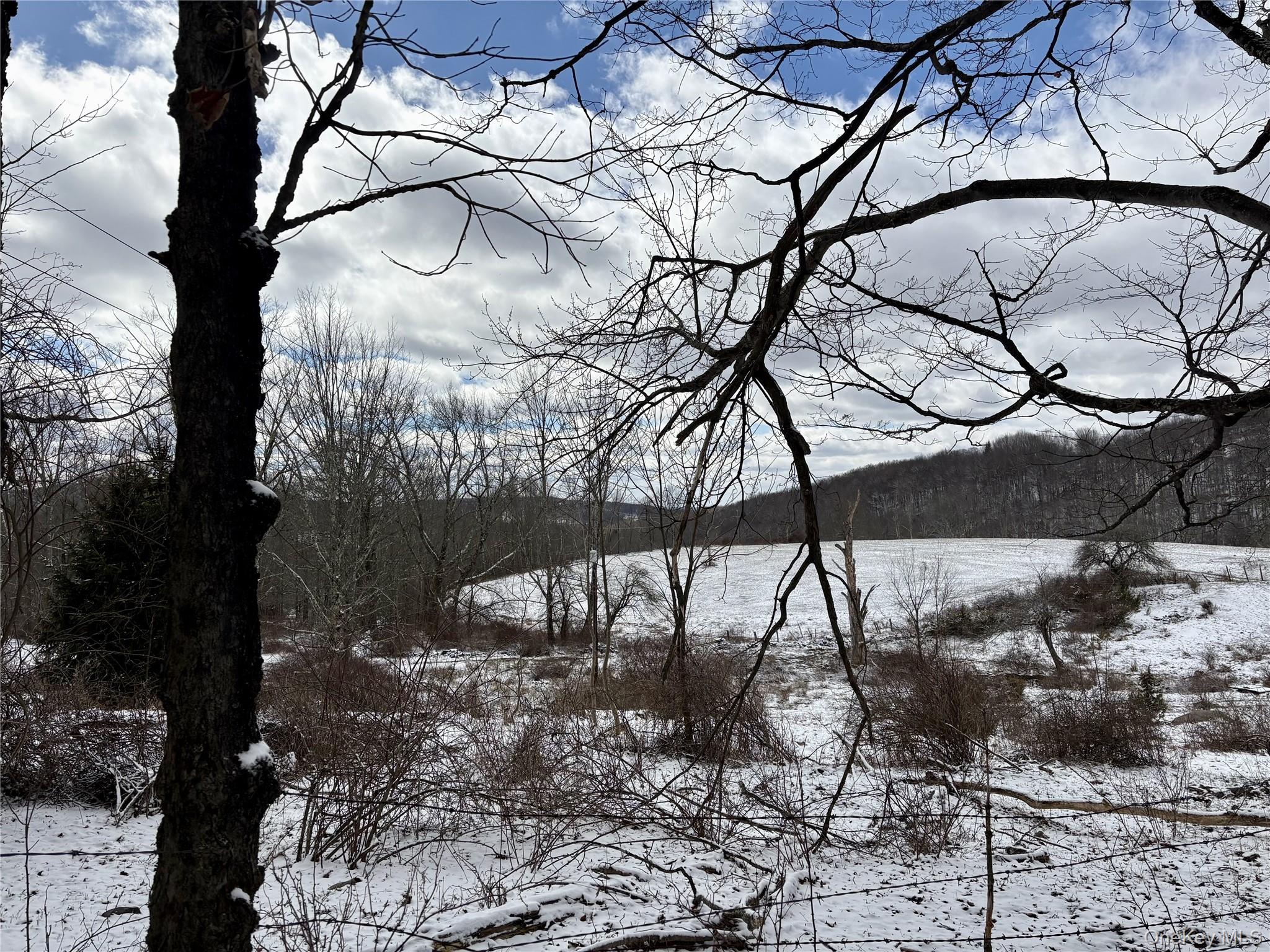 28 T R Fremont Center, NY 12736 - Photo 45 of 47