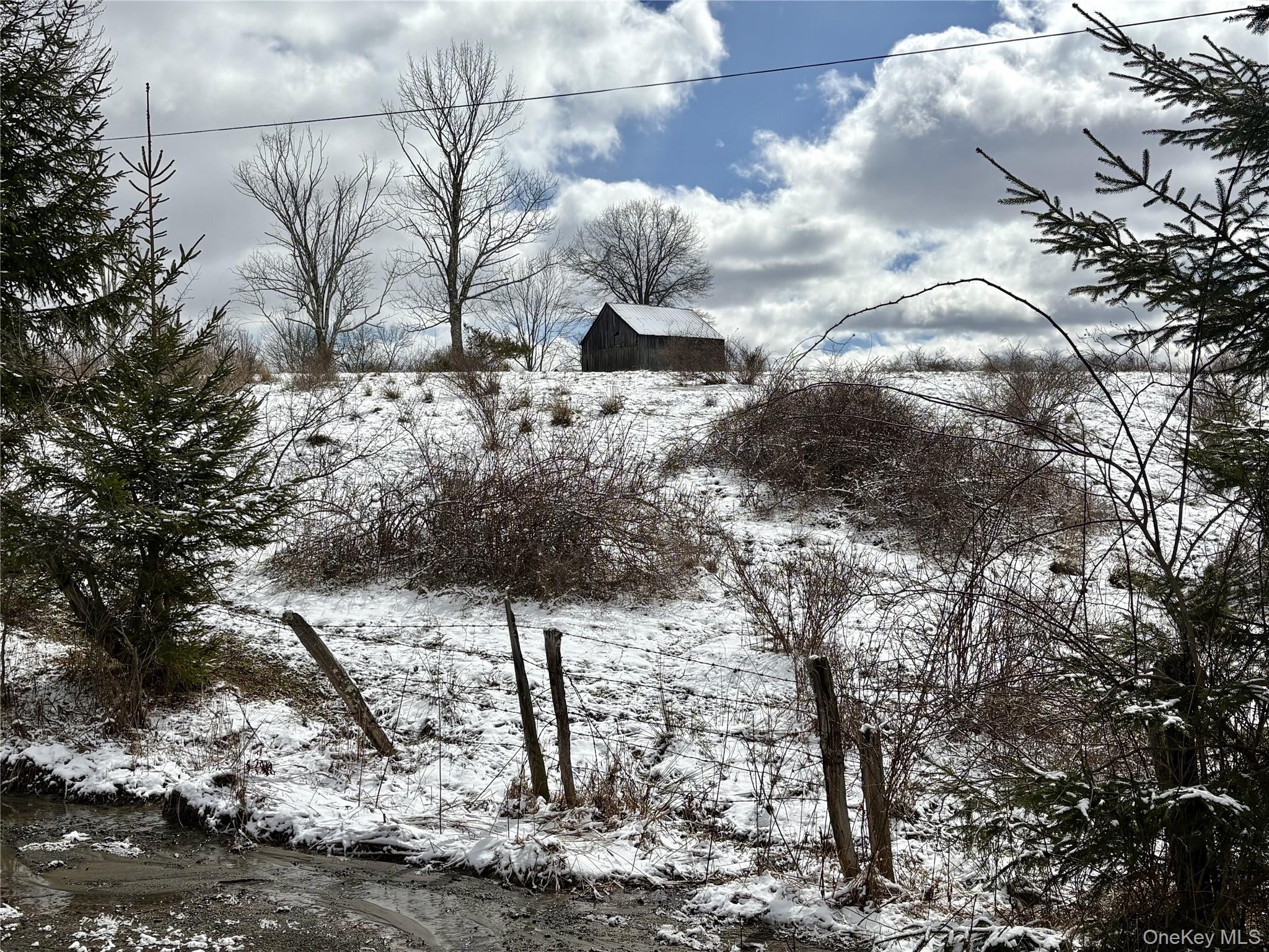 28 T R Fremont Center, NY 12736 - Photo 46 of 47