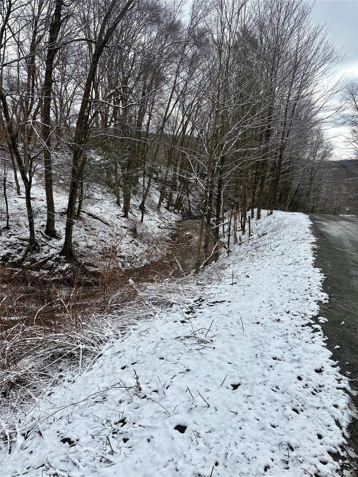 28 T R Fremont Center, NY 12736 - Photo 5 of 47