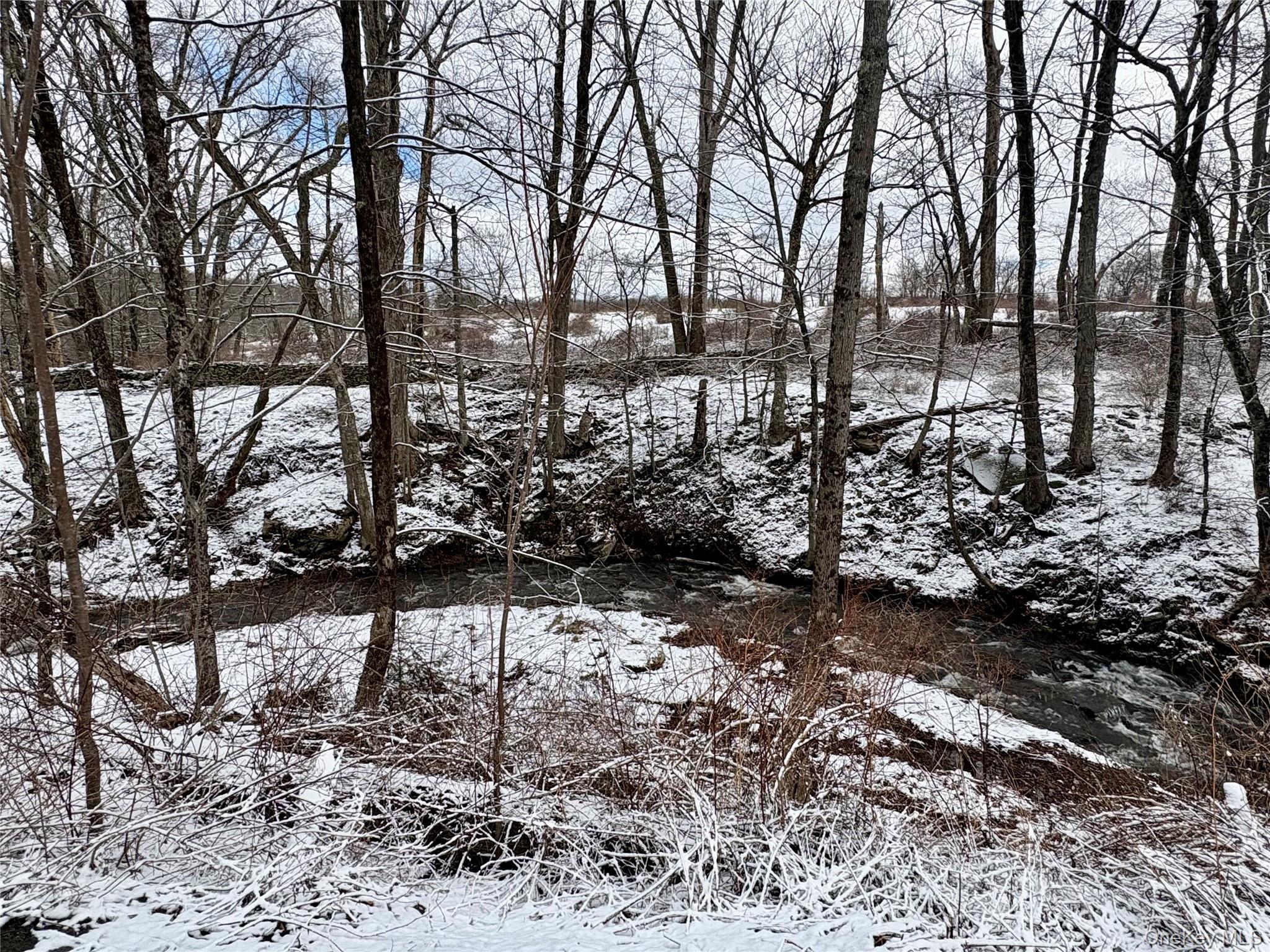 28 T R Fremont Center, NY 12736 - Photo 6 of 47