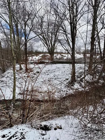 a view of yard covered with snow in outdoor