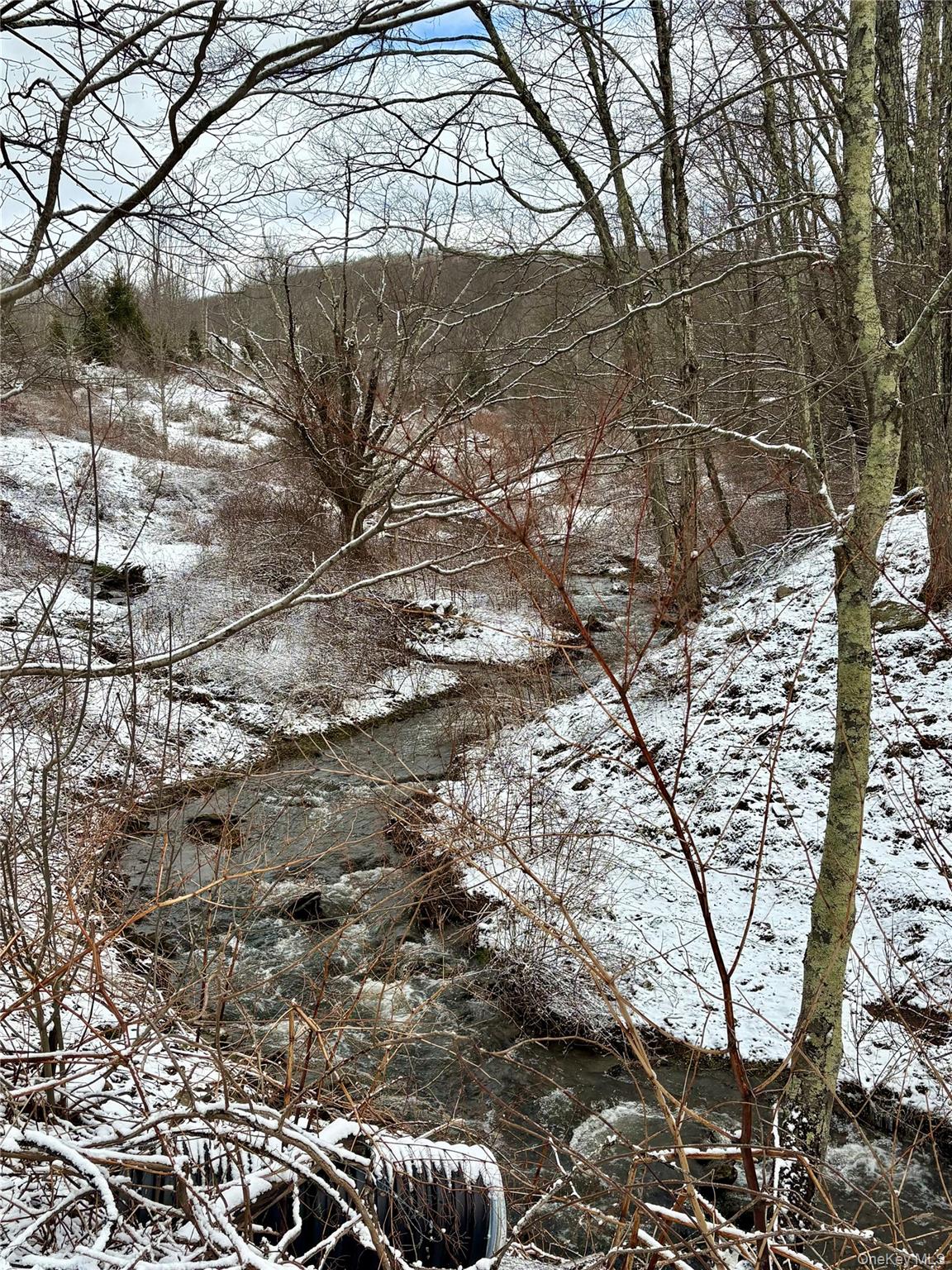 28 T R Fremont Center, NY 12736 - Photo 9 of 47