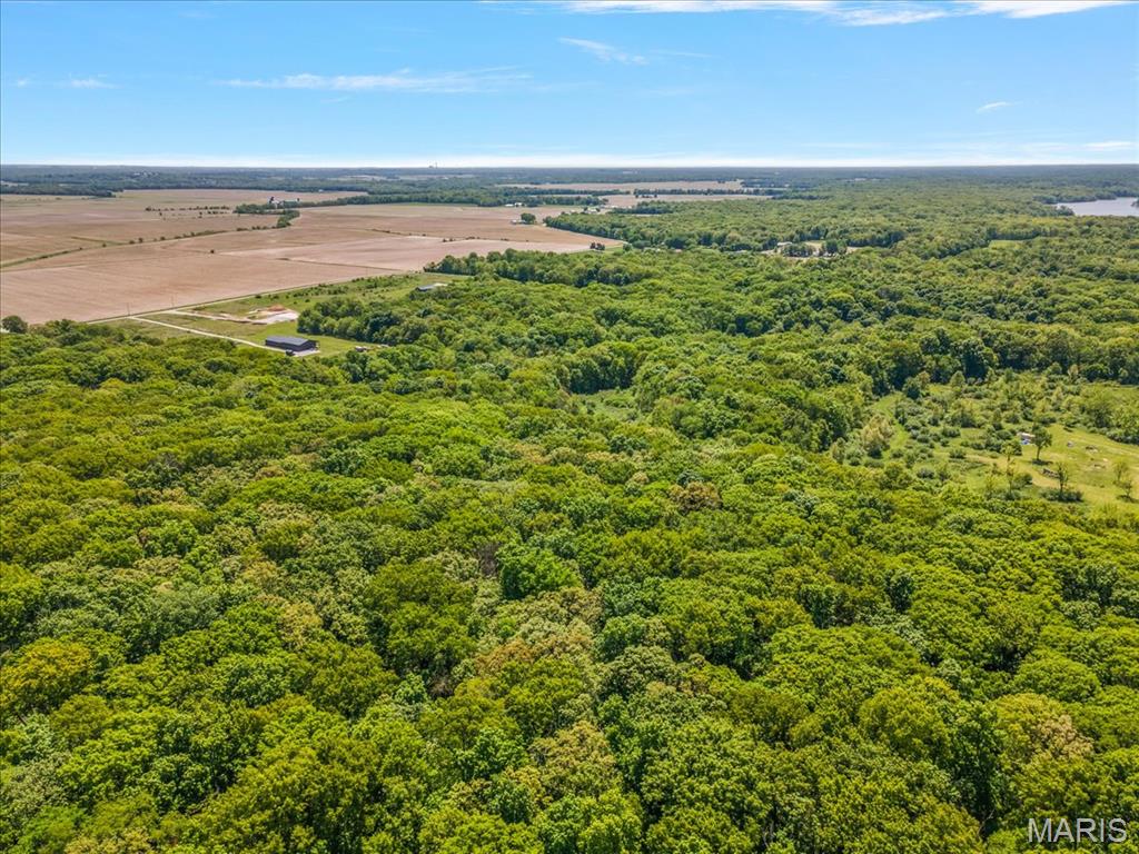 Tbd Rainmaker Trail Butler, IL 62015 - Photo 15 of 16