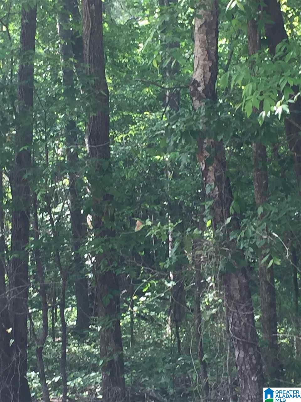 Old Village Road McCalla, AL 35111 - Photo 9 of 12