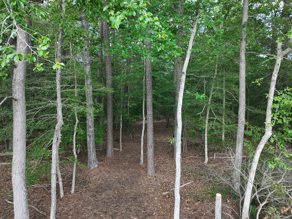 Lot 1 Mt Nebo Road, Unit 1 Onancock, VA 23417 - Photo 18 of 19