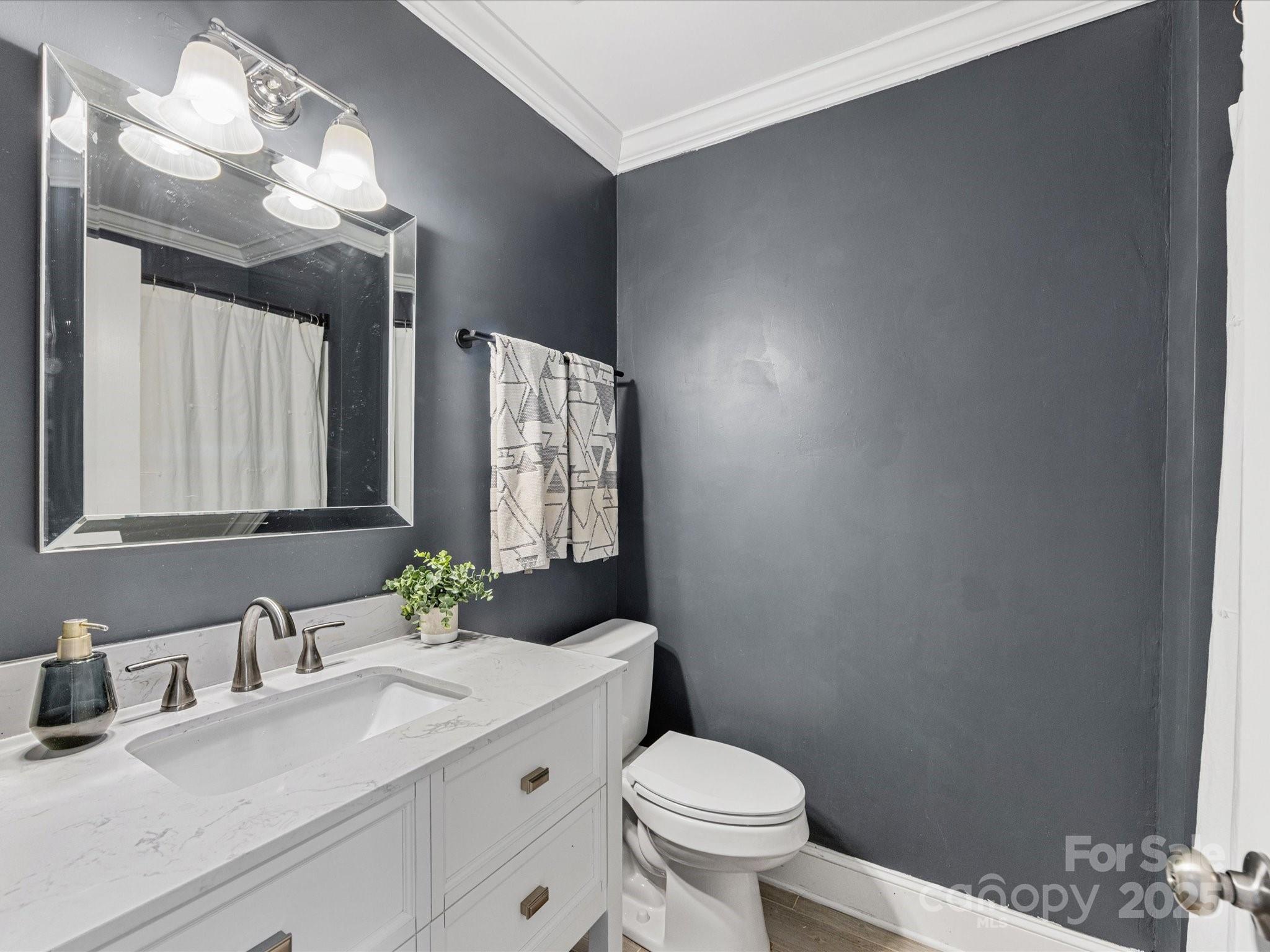 3530 Woodleaf Road Charlotte, NC 28205 - Photo 19 of 32 a bathroom with a sink vanity granite and toilet