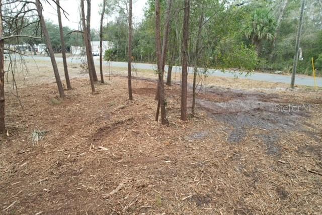 Palm Street Paisley, FL 32767 - Photo 5 of 7 a view of outdoor space with trees