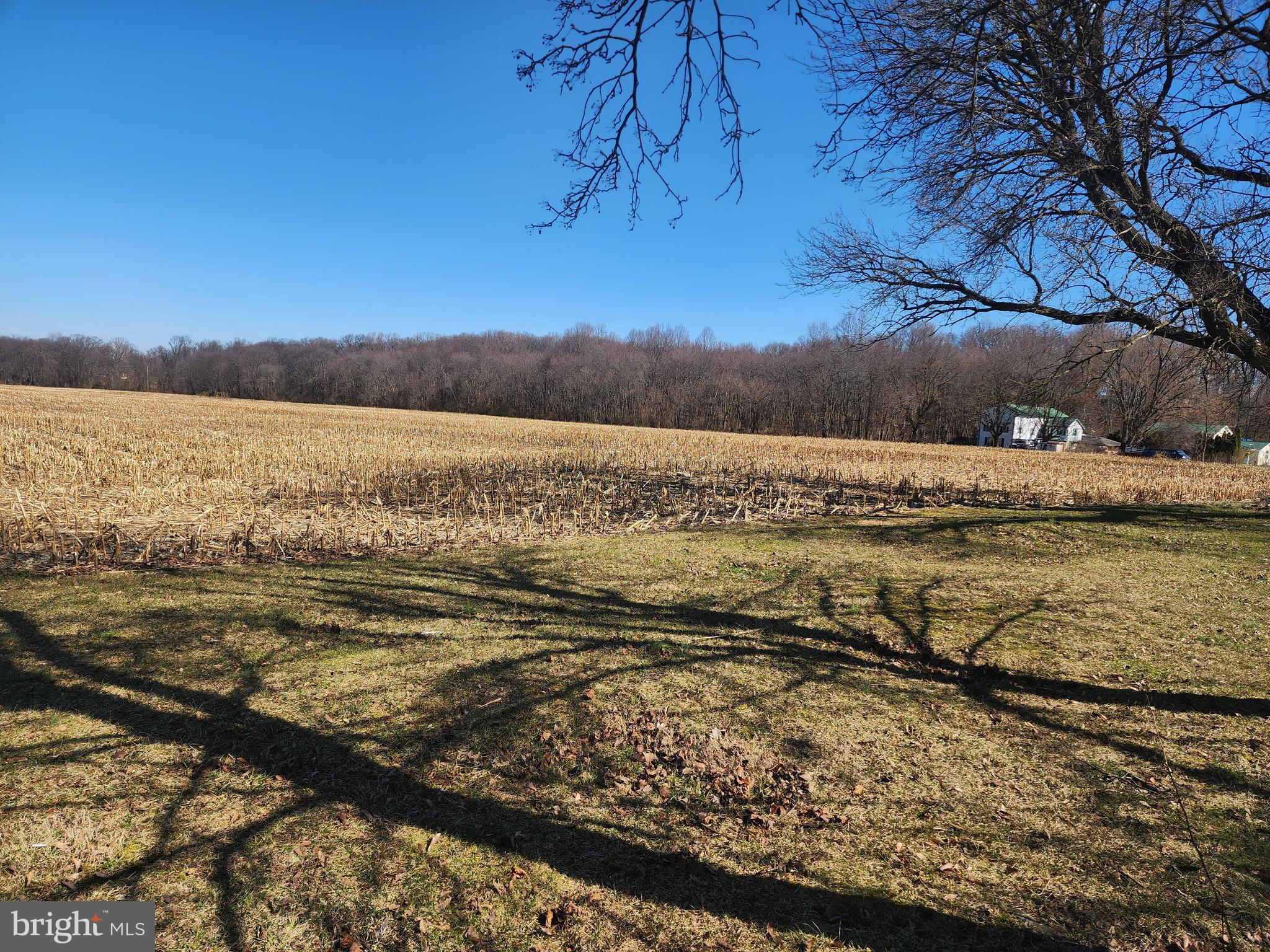 109 Neil Road Shippensburg, PA 17257 - Photo 9 of 10 Views of farm to the left