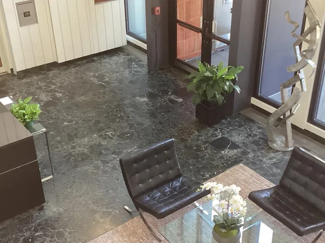 a living room with furniture flowerpot and a chandelier