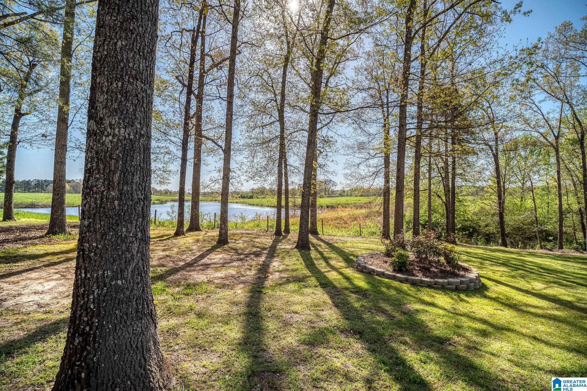 3901 Turkey Run Jasper, AL 35504 - Photo 5 of 62