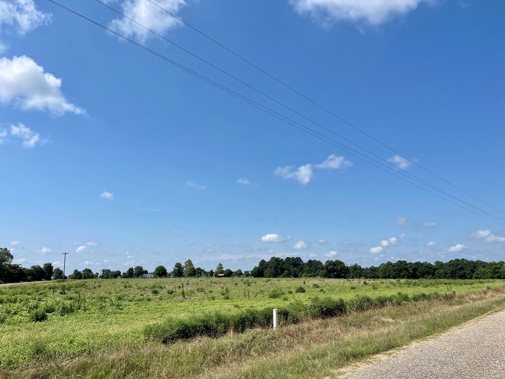 0 Gilley Mill Road Webb, AL 36376 - Photo 11 of 14