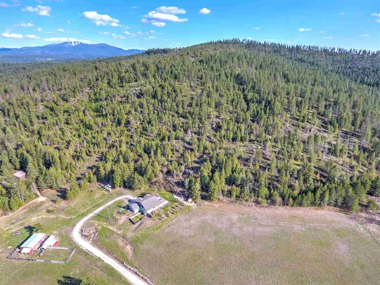 36016 North Milan Elk Road Chattaroy, WA 99003 - Photo 18 of 20 Gallery Image 18
