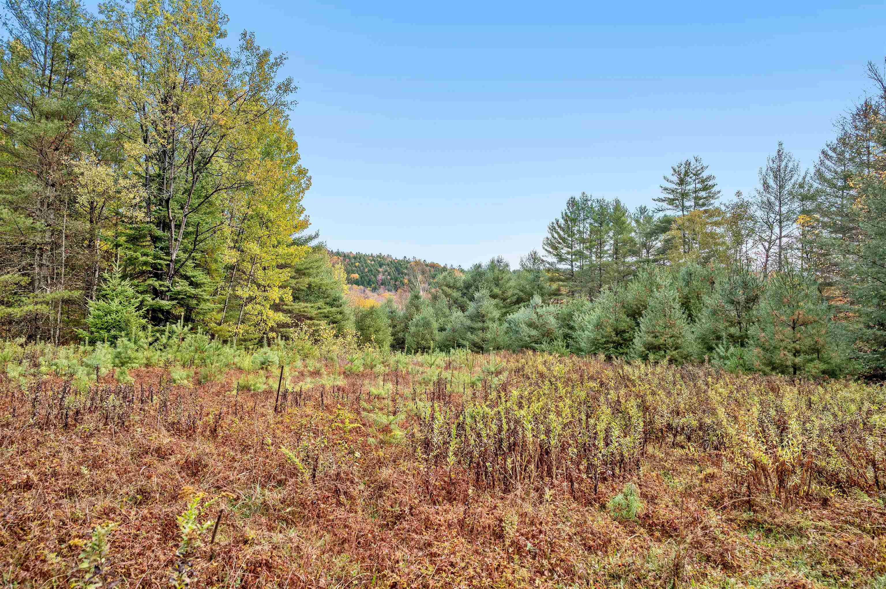 0 Veo Road, Unit 2 Montpelier, VT 05602 - Photo 1 of 22 Gallery Image 1