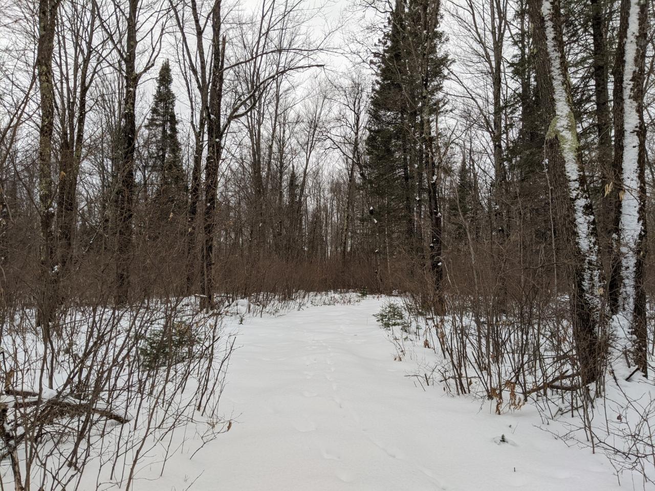 N7128 East Dover Road Phillips, WI 54555 - Photo 22 of 35 Gallery Image 22
