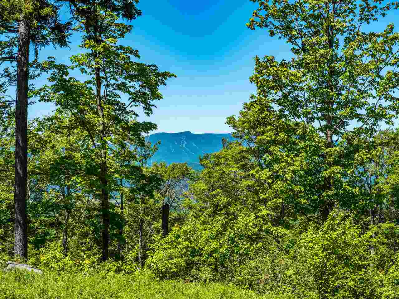 0 Worcester Ridge, Unit 15B Elmore, VT 05661 - Photo 14 of 39