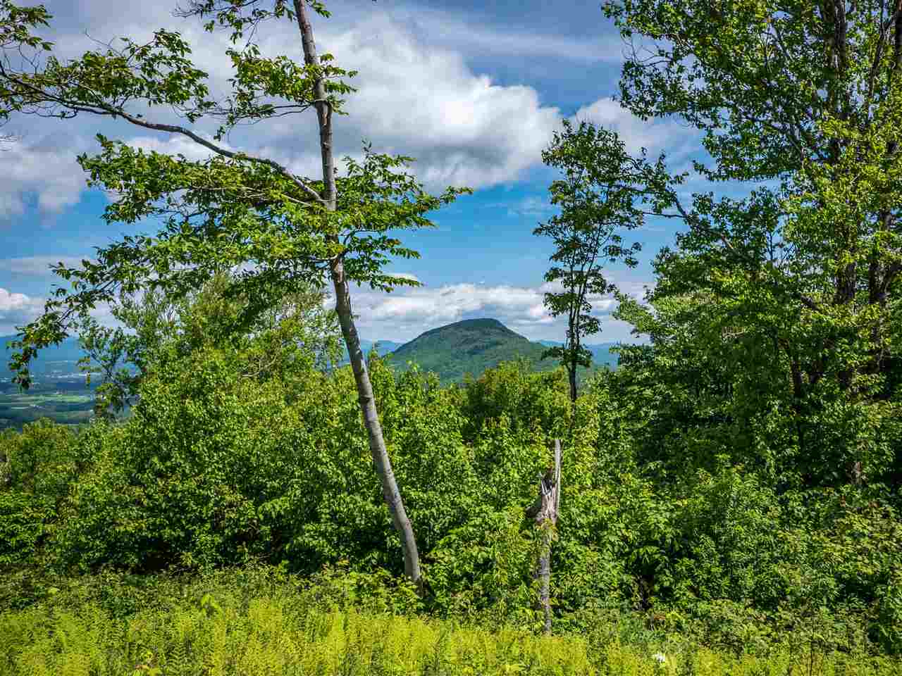0 Worcester Ridge, Unit 15B Elmore, VT 05661 - Photo 8 of 39
