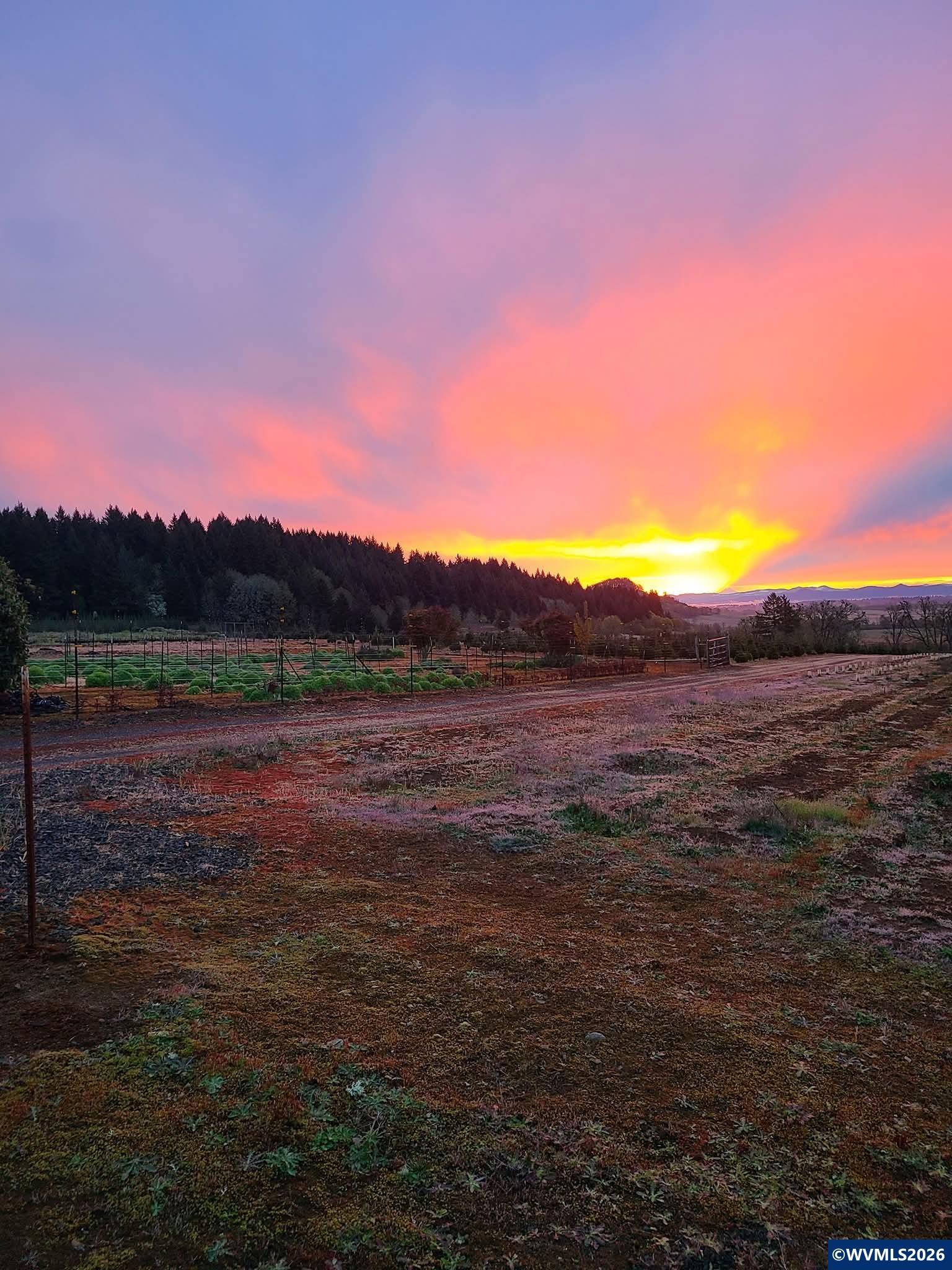 26191 Bruce Road Monroe, OR 97456 - Photo 21 of 27