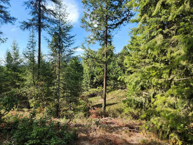 $435,000 | 2594 Bossburg Road, Evans, WA 99126