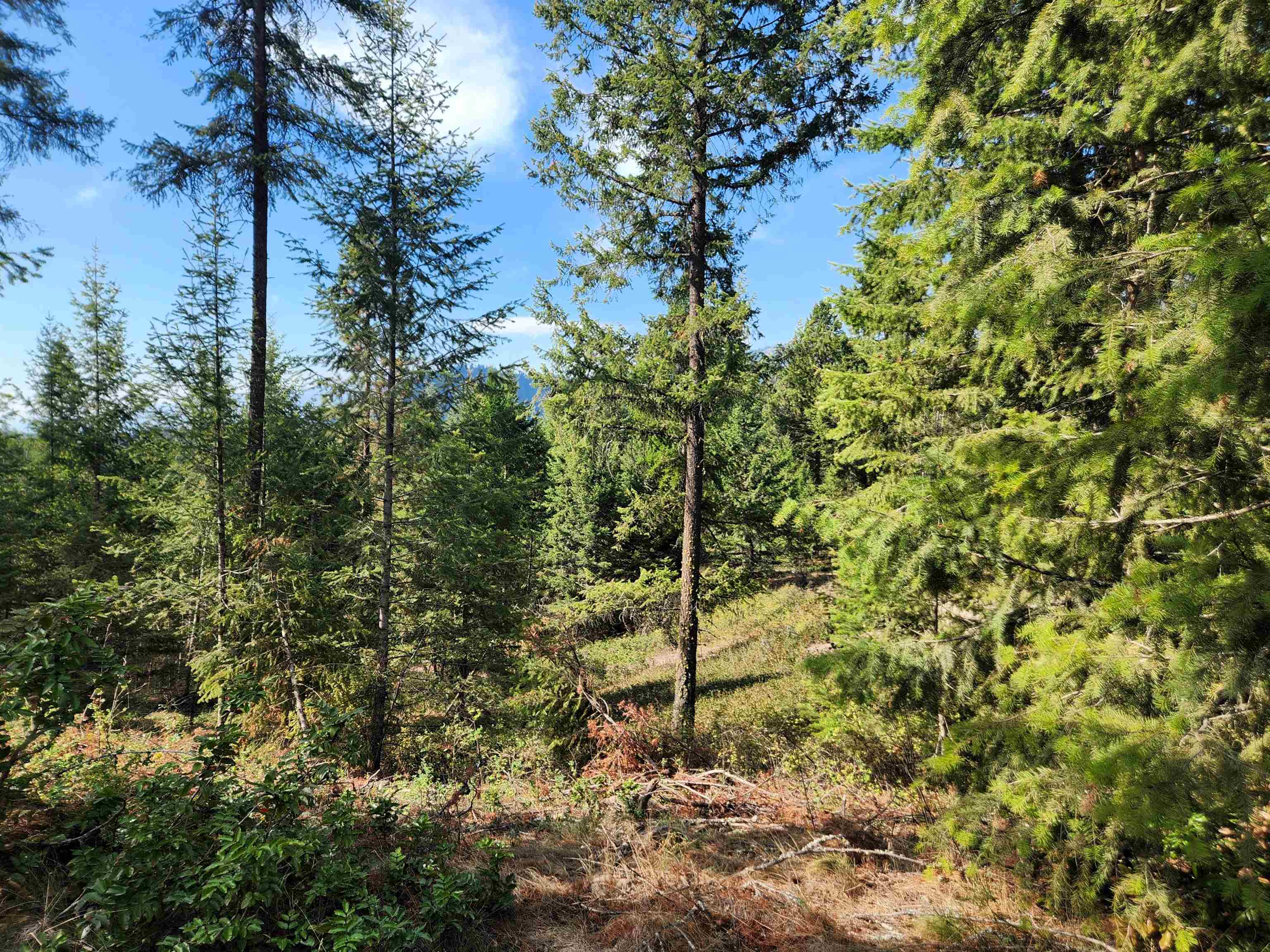 2594 Bossburg Road Evans, WA 99126 - Photo 17 of 29 Gallery Image 17