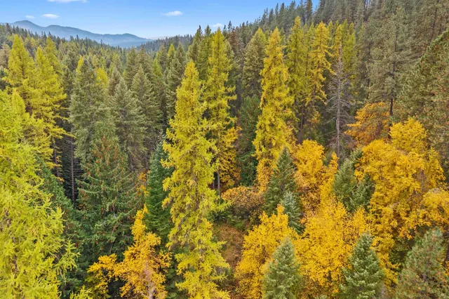 $435,000 | 2594 Bossburg Road, Evans, WA 99126