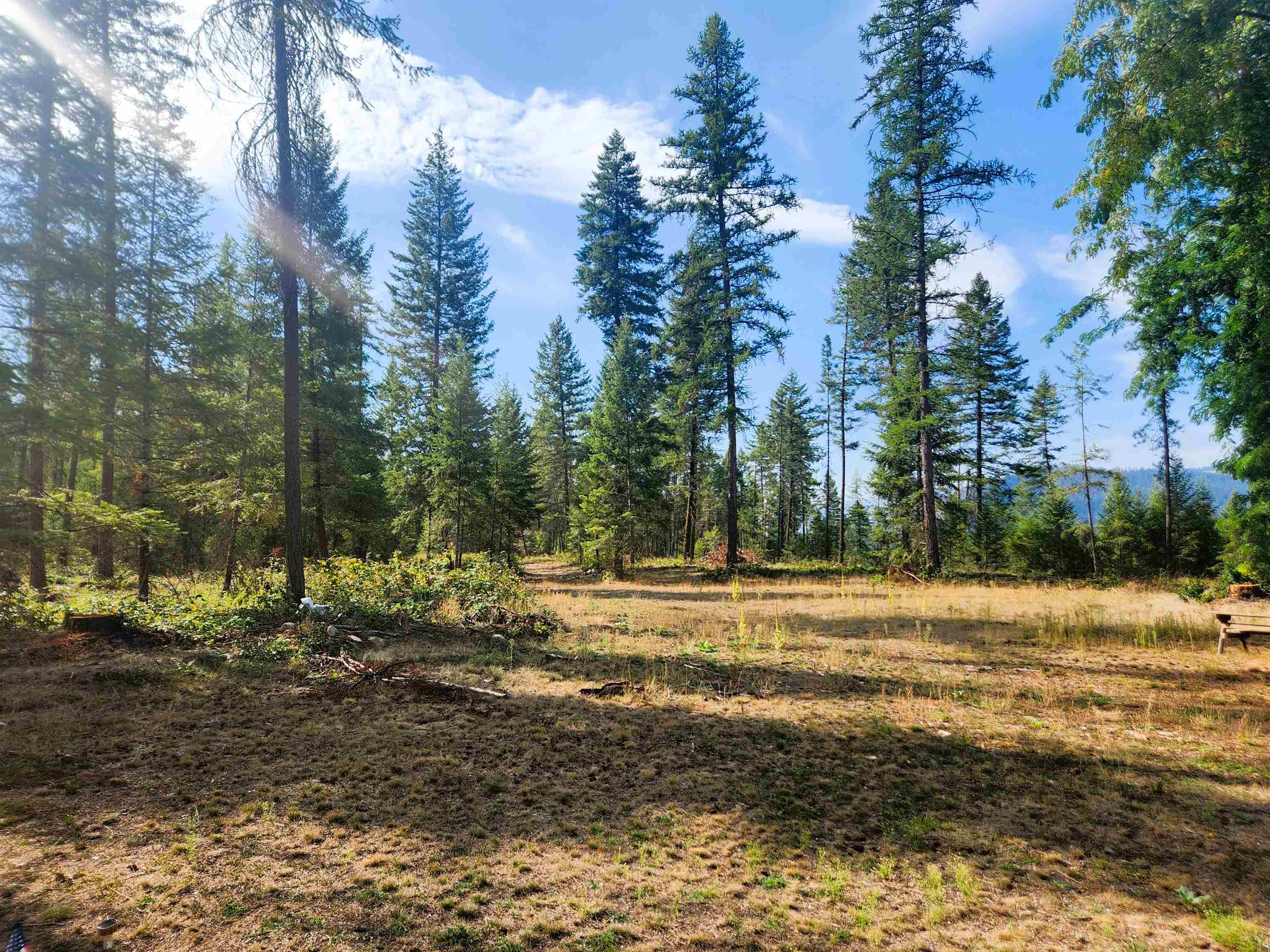 2594 Bossburg Road Evans, WA 99126 - Photo 21 of 29 Gallery Image 21