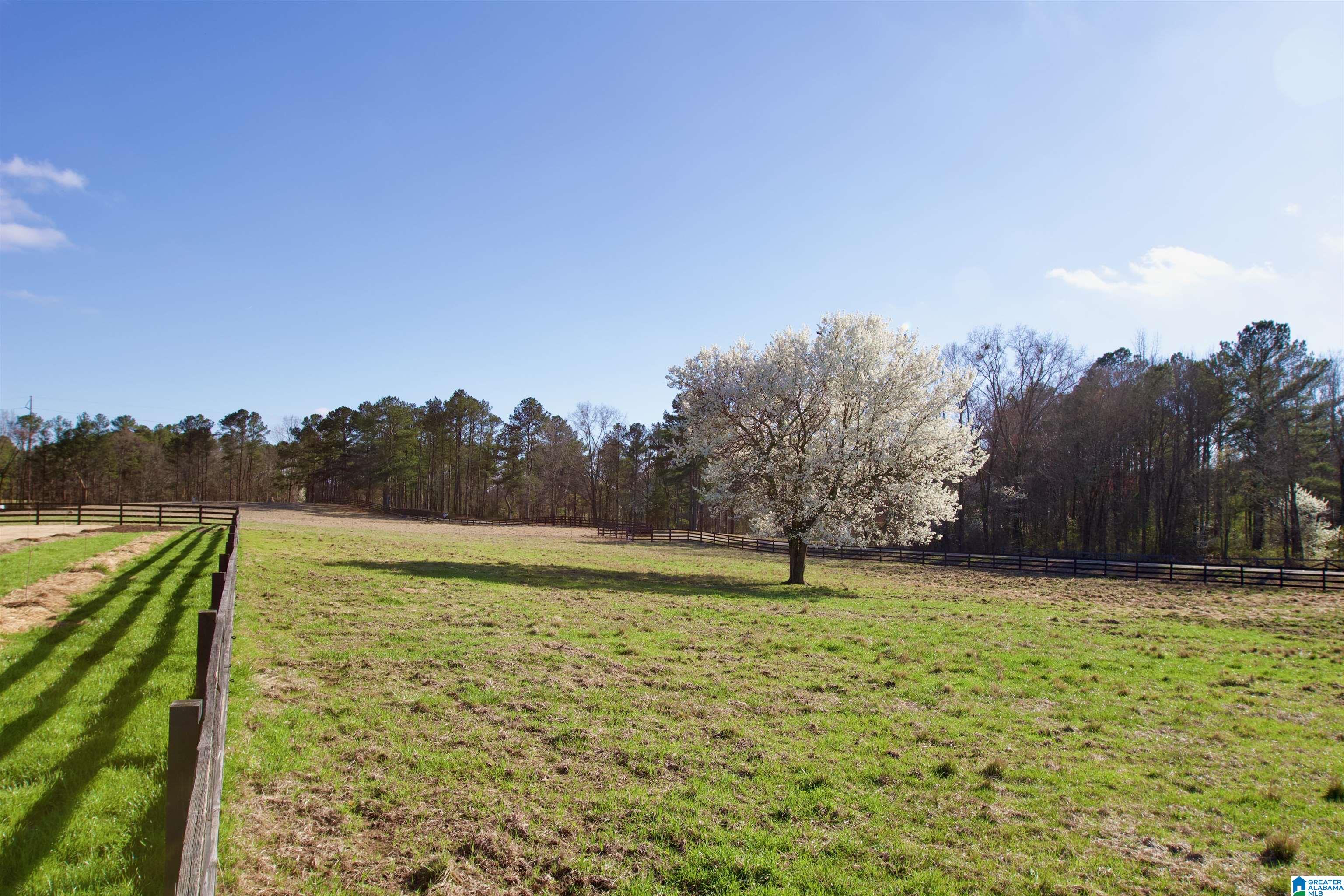 1396 Sun Valley Road Harpersville, AL 35078 - Photo 58 of 82
