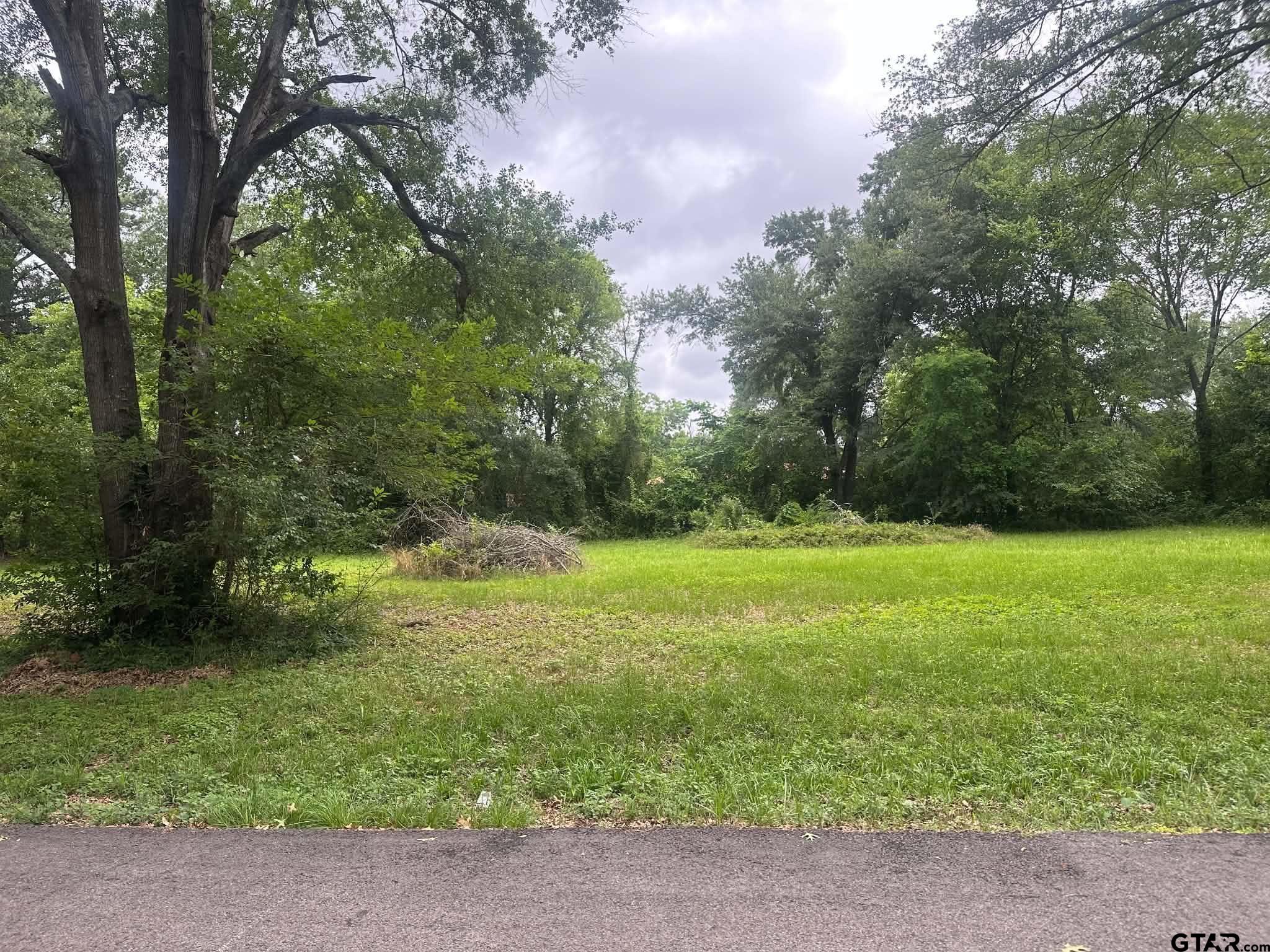 0 Ricky Drive Palestine, TX 75801 - Photo 1 of 6 a view of yard with green space