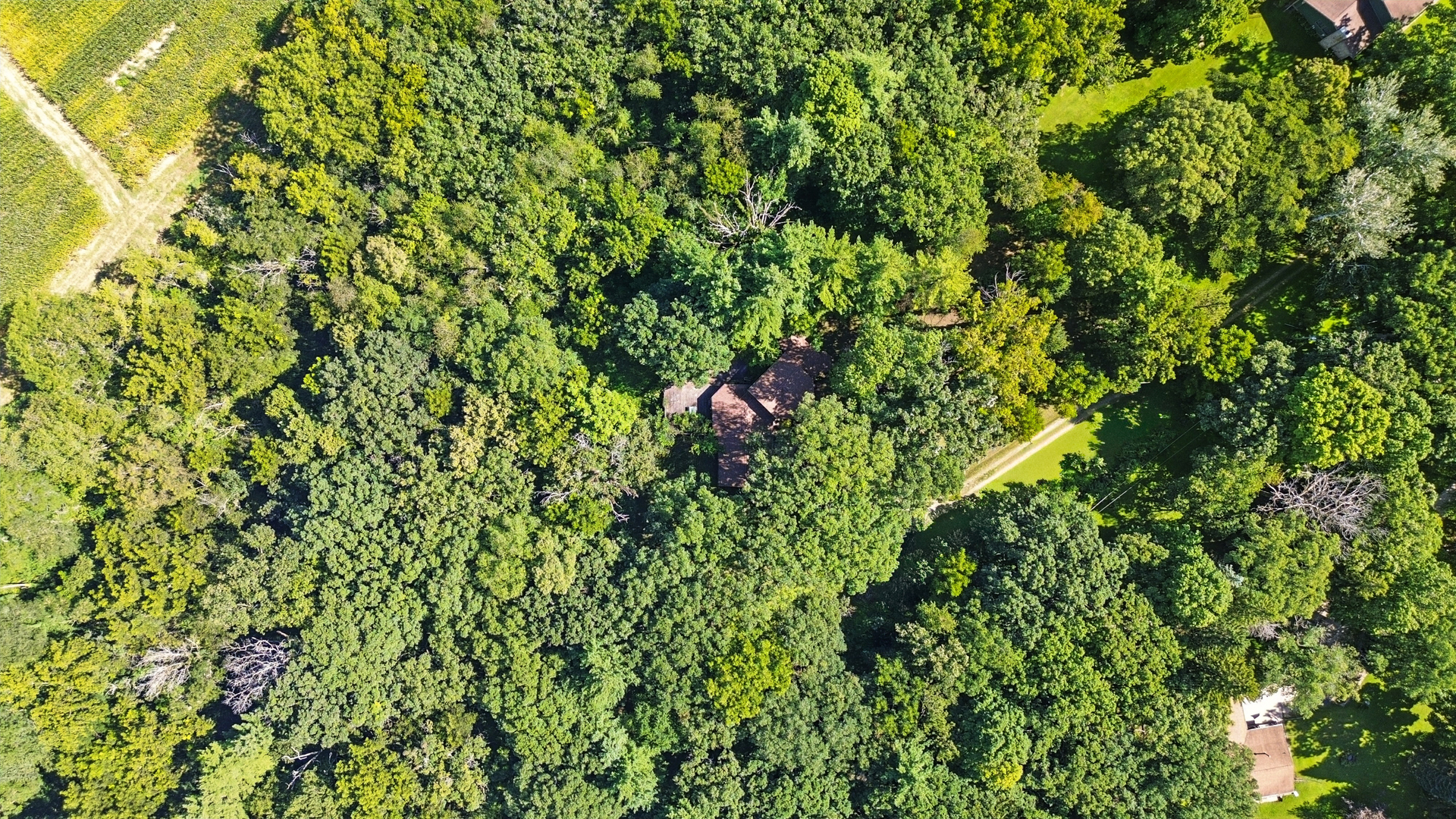 21631 Hoover Road Sterling, IL 61081 - Photo 30 of 30 a view of a lush green field