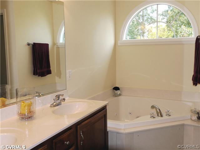 1207 Goswick Ridge Road Midlothian, VA 23114 - Photo 10 of 12 a bathroom with a sink and a bathtub