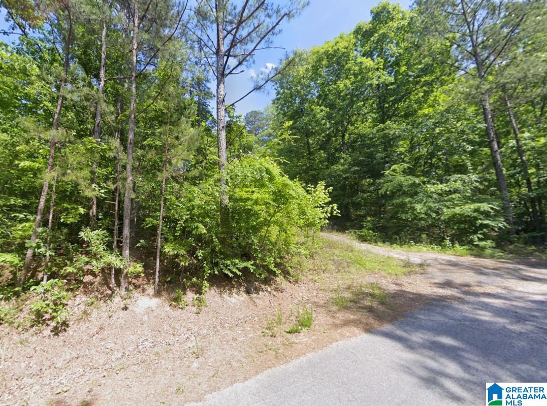 130 Evergreen Drive Springville, AL 35146 - Photo 5 of 20
