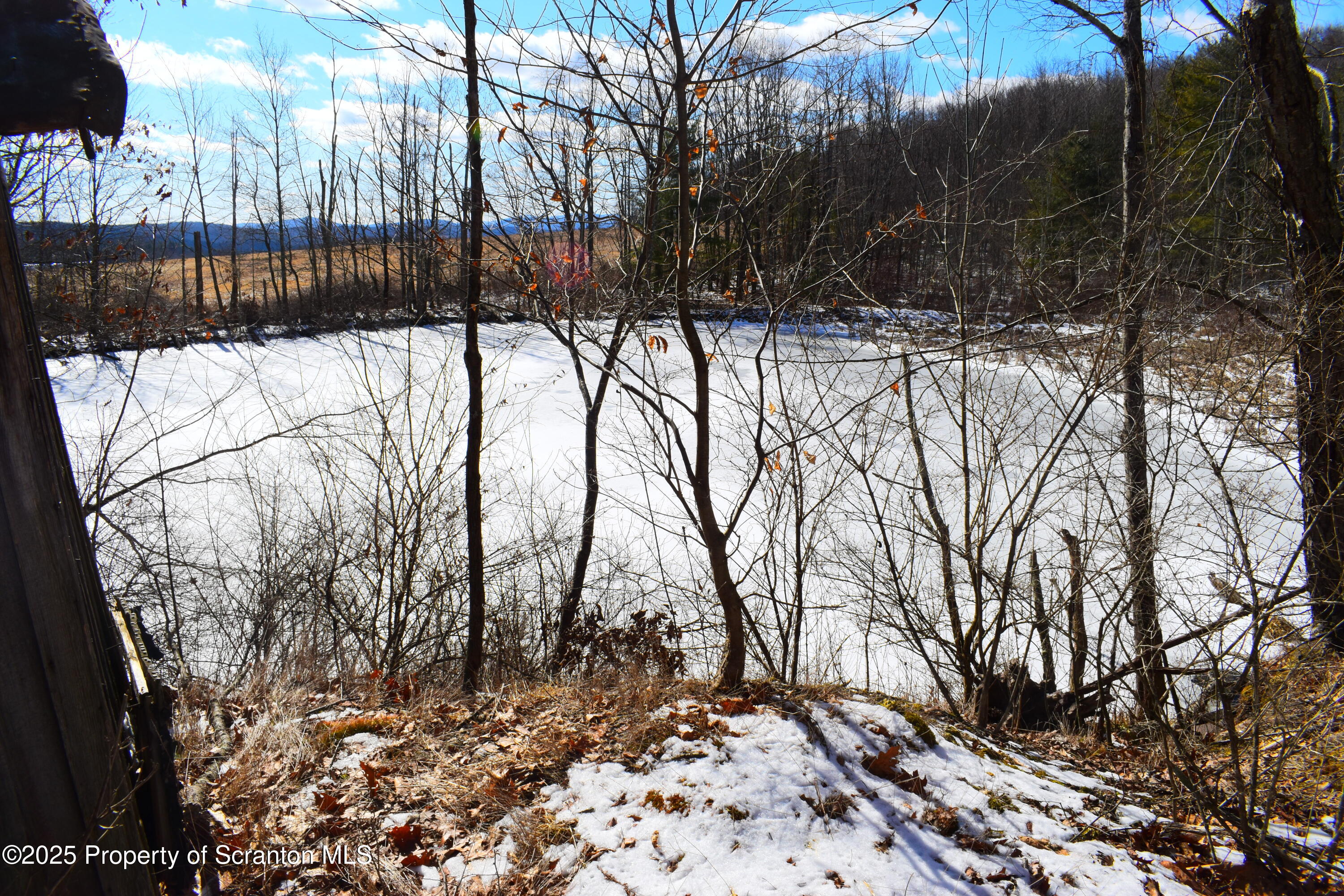 Station Hill Road Nicholson, PA 18446 - Photo 13 of 23 Pond