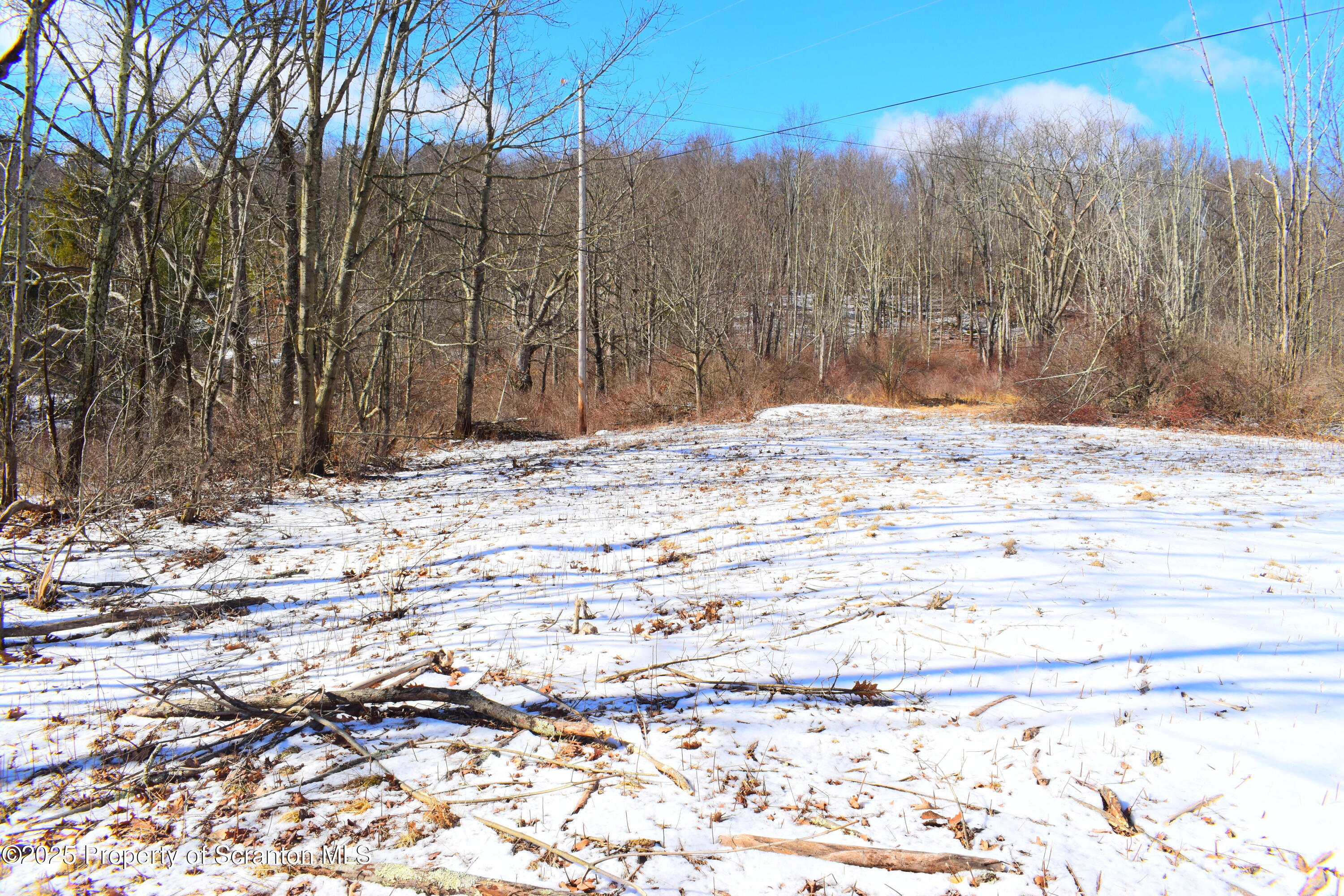 Station Hill Road Nicholson, PA 18446 - Photo 14 of 23 Land