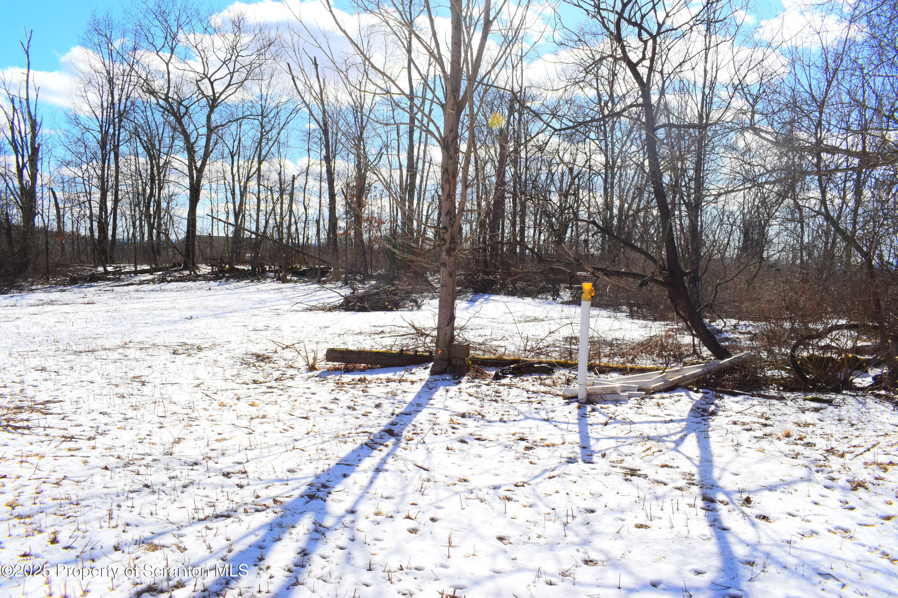 Station Hill Road Nicholson, PA 18446 - Photo 16 of 23 Open level area