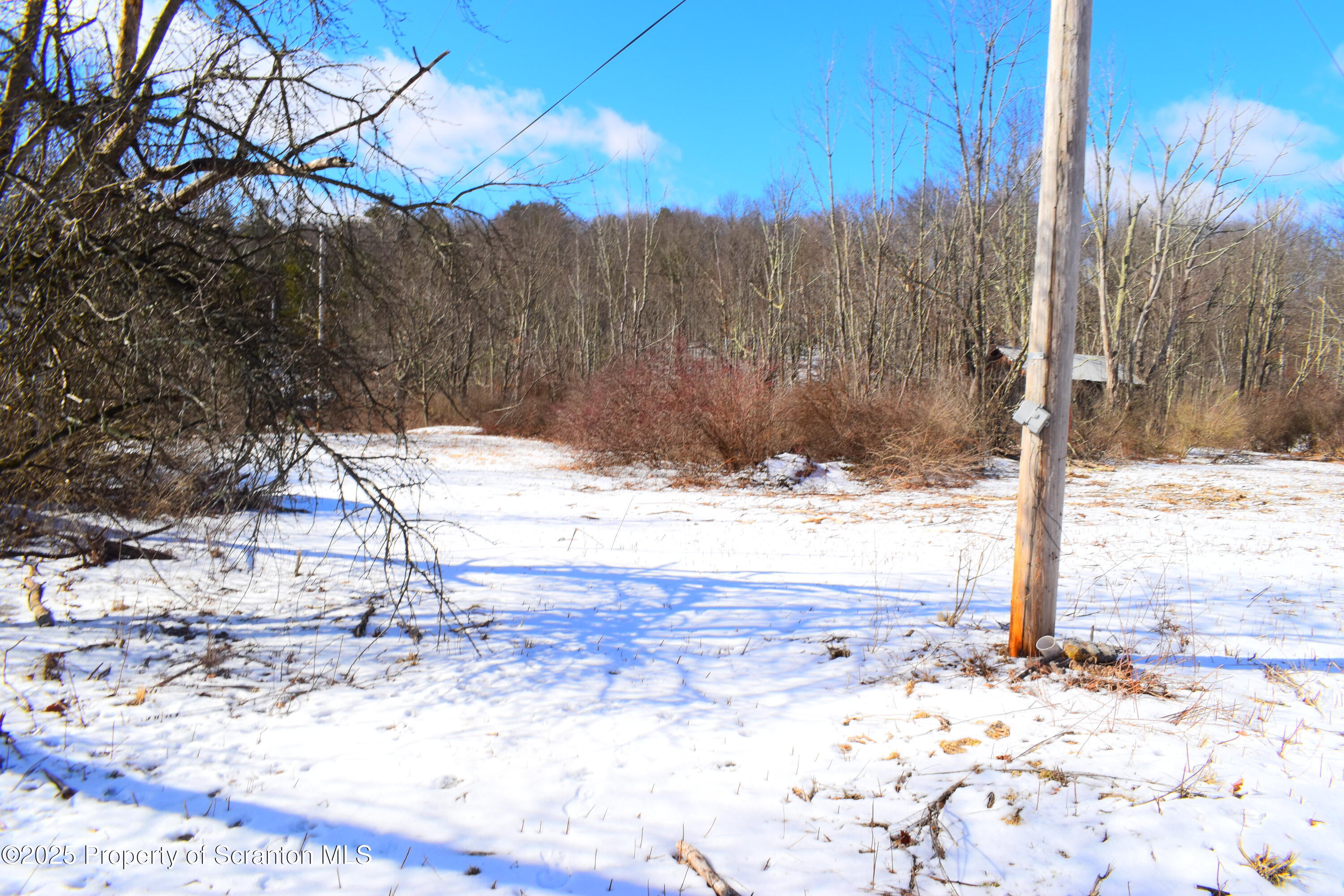 Station Hill Road Nicholson, PA 18446 - Photo 17 of 23 Open level area