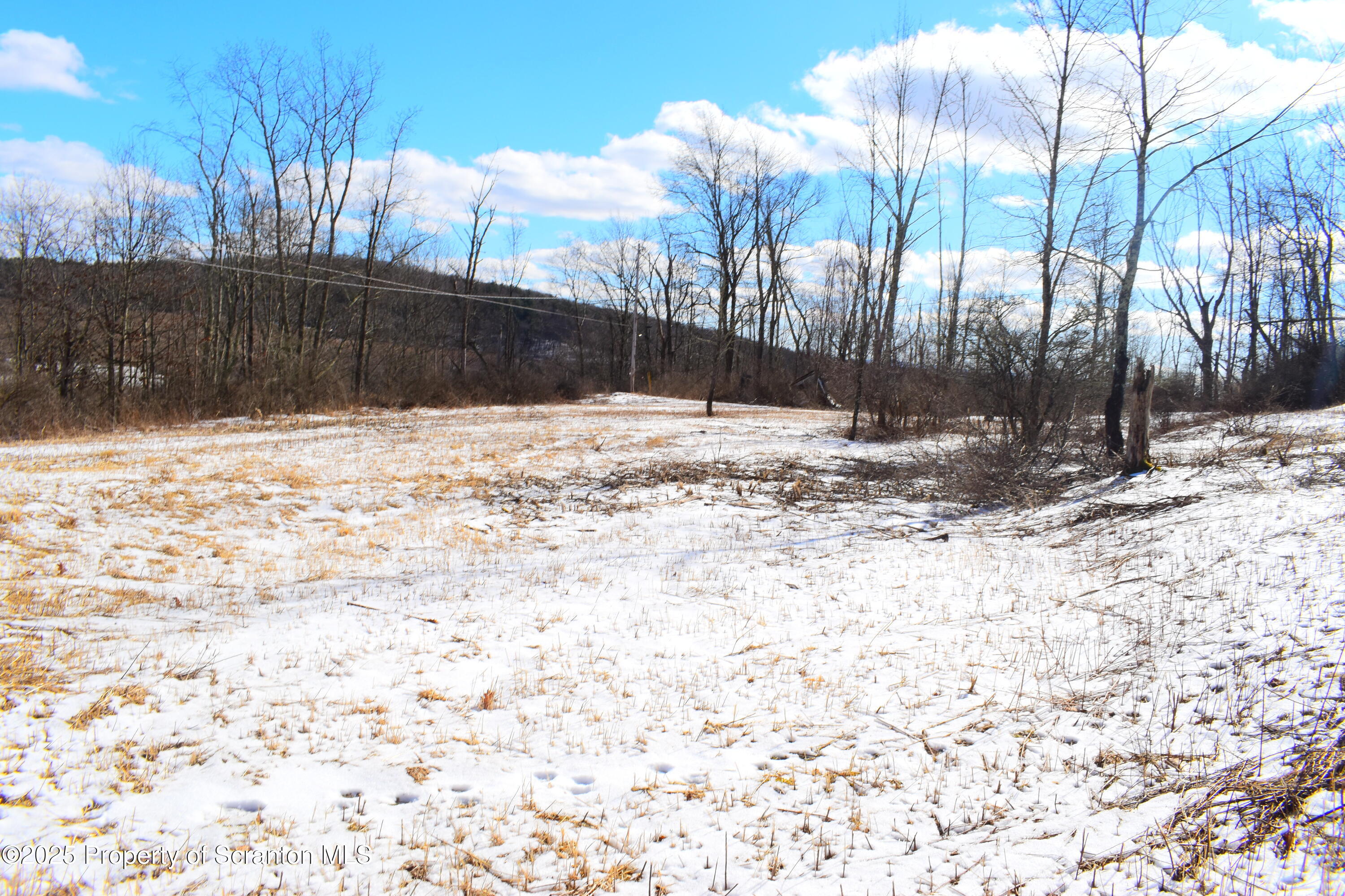 Station Hill Road Nicholson, PA 18446 - Photo 20 of 23 Land