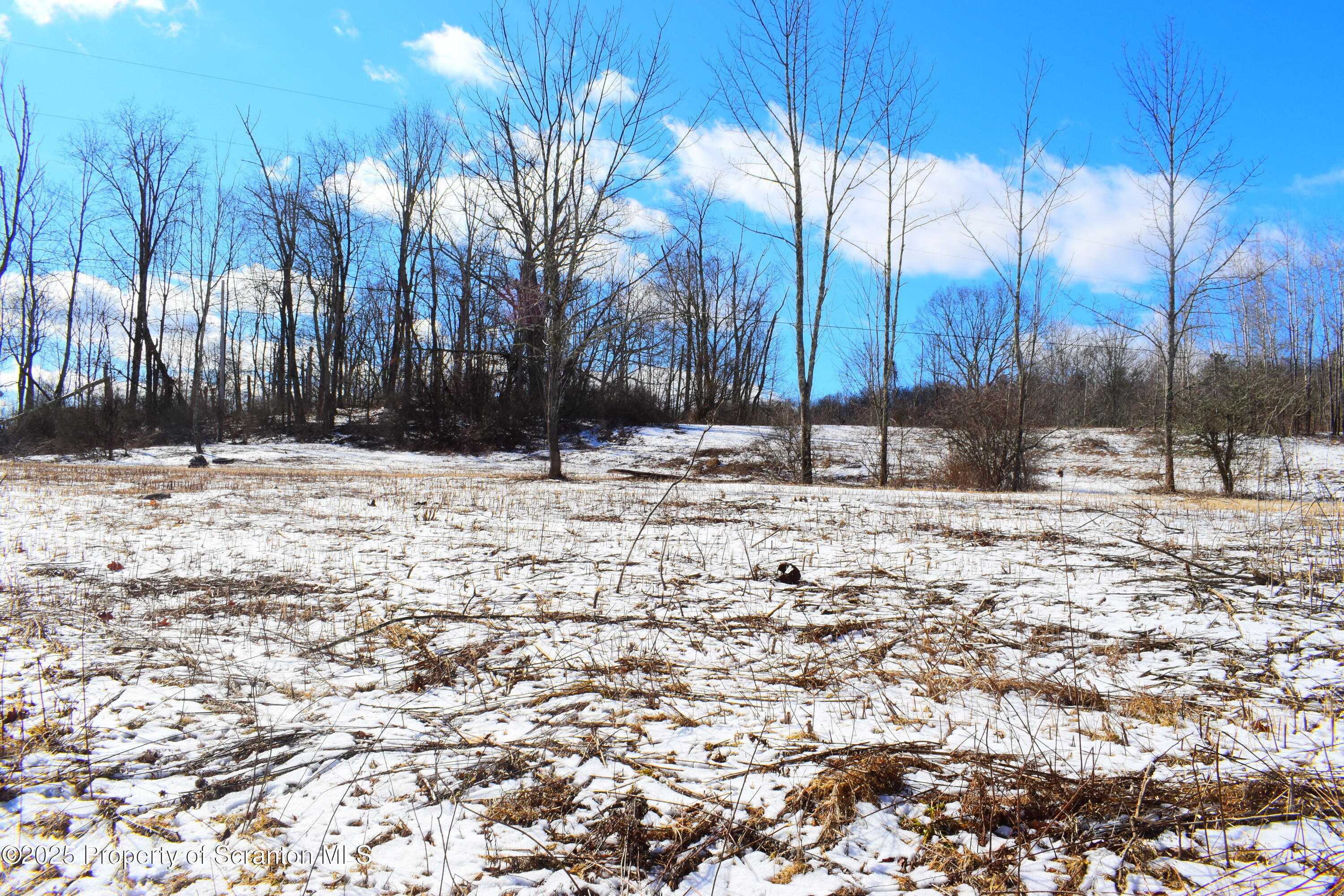 Station Hill Road Nicholson, PA 18446 - Photo 23 of 23 Land ,open area