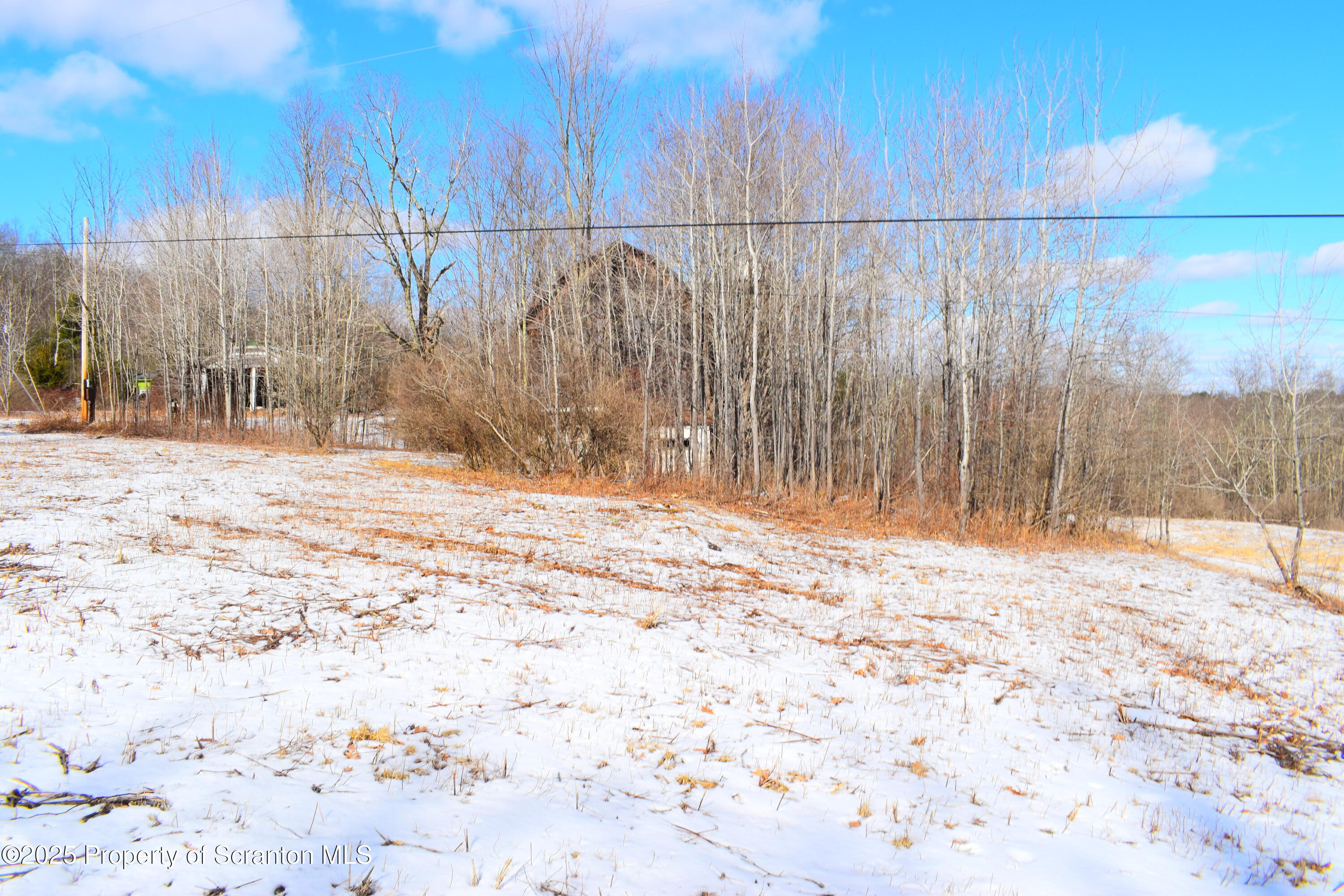 Station Hill Road Nicholson, PA 18446 - Photo 10 of 23 Field