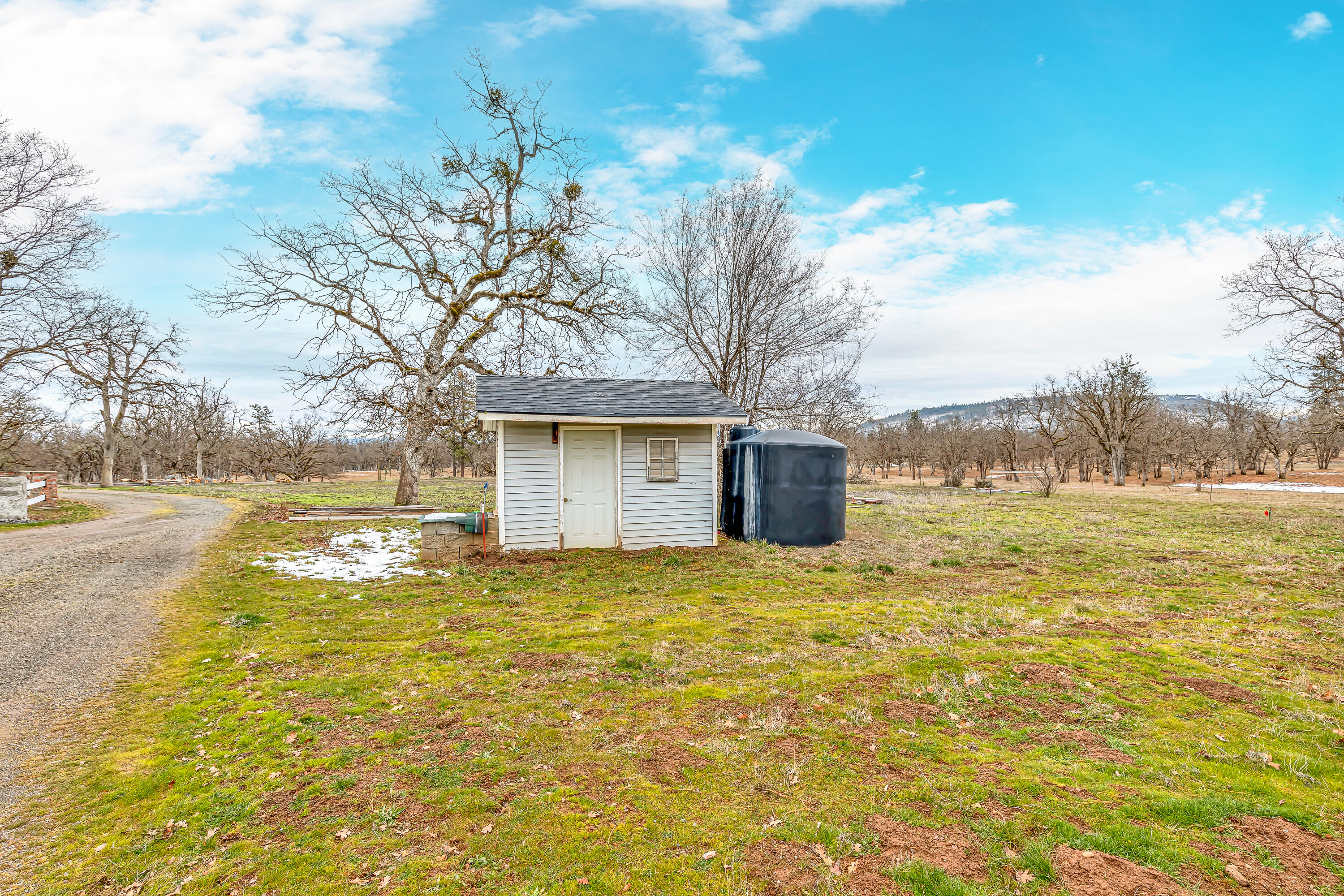 11001 Meadows Road White City, OR 97503 - Photo 43 of 60 9R9A6374
