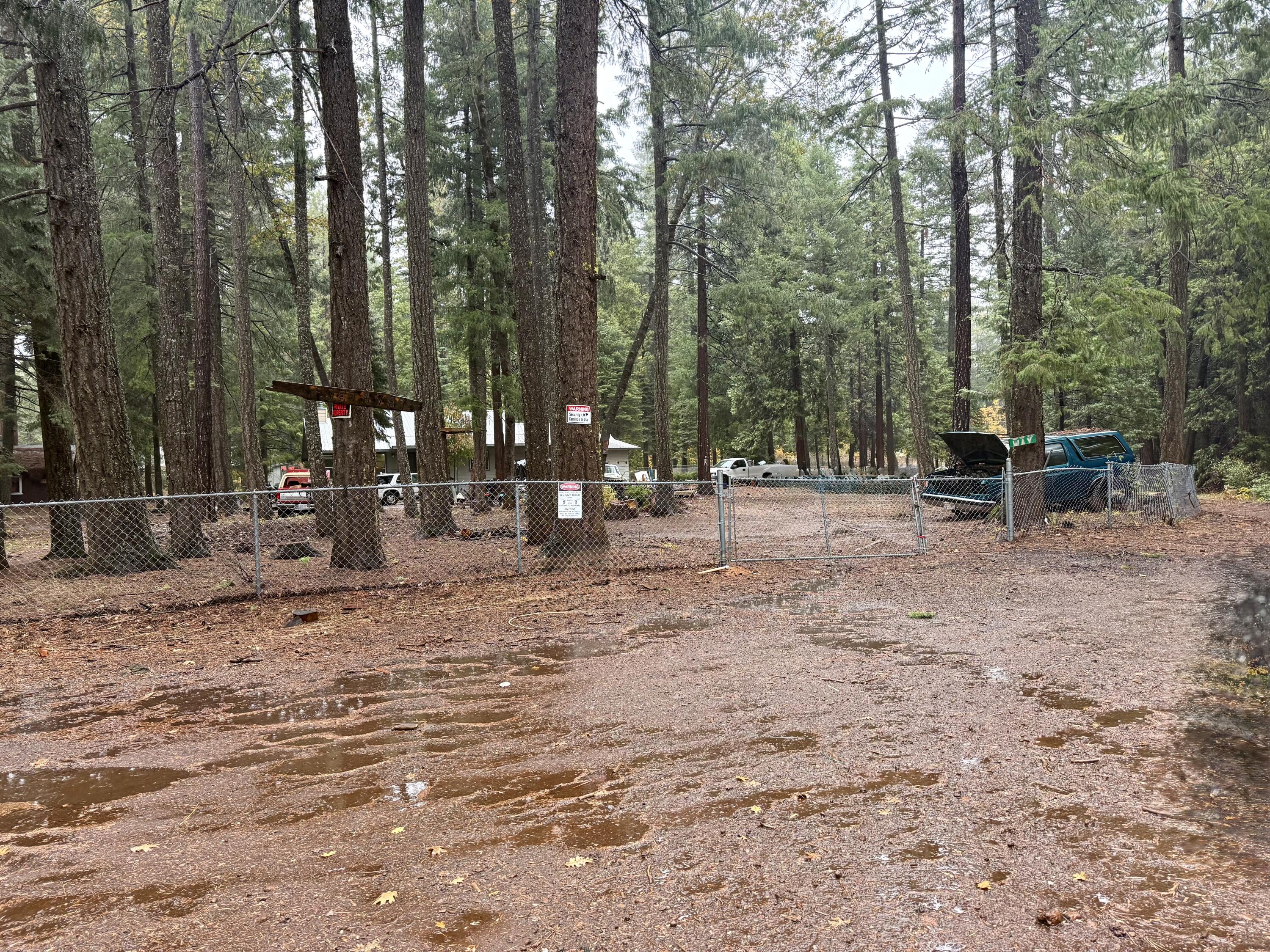 33368 Geta Way Shingletown, CA 96088 - Photo 3 of 20 a backyard of a house with lots of green space and trees