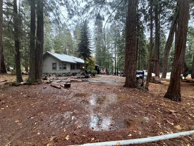 a view of outdoor space with trees